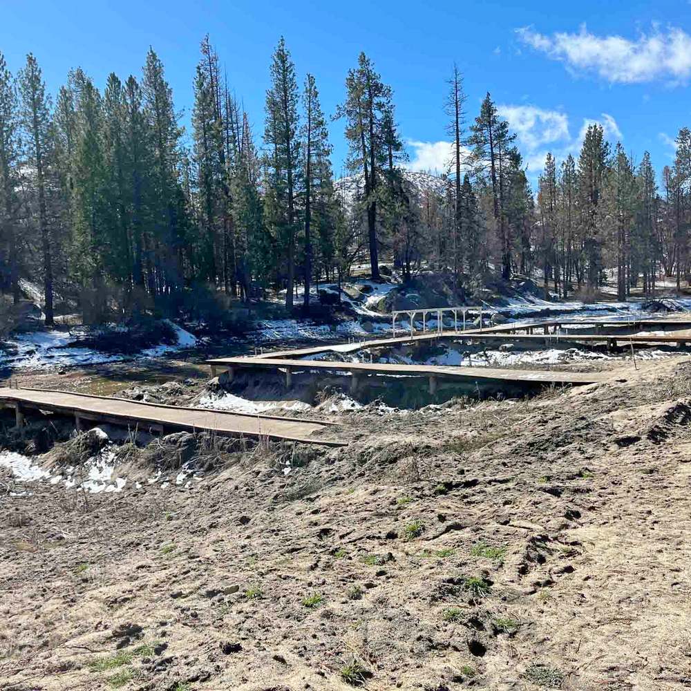 Whitsett Waterfront Revival
