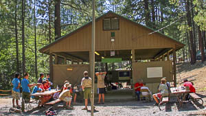Contributions to Camp Whitsett