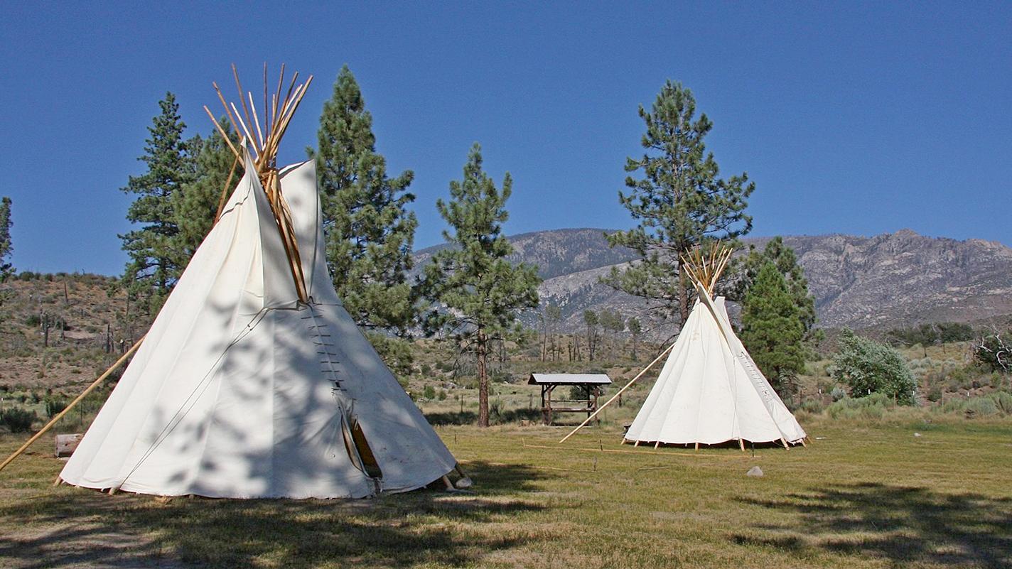 The History of Camp Whitsett