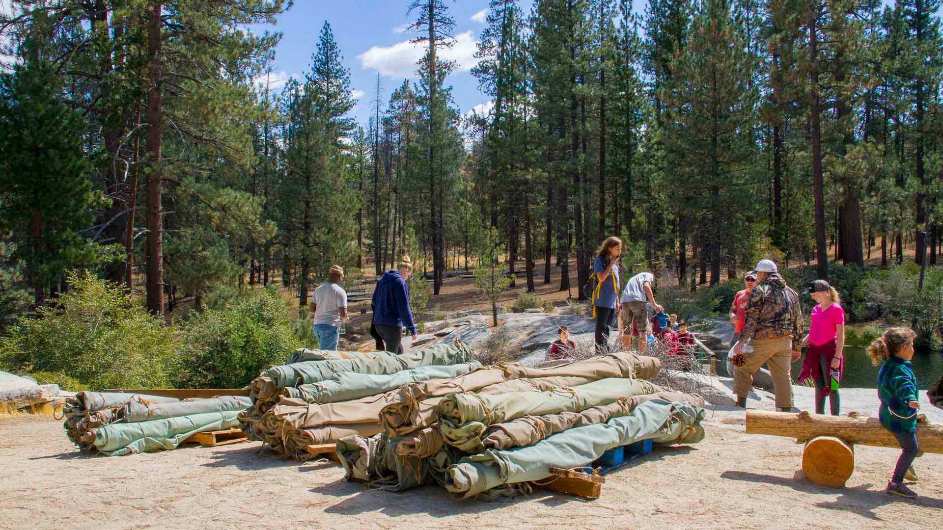 Volunteer at Camp Whitsett